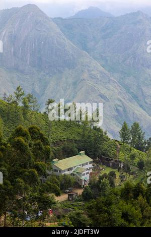 Blick auf die höchstgelegene orthodoxe Teeverarbeitungsfabrik der Welt in der Berglandschaft von Kolukkumalai, Munnar, Kerala, Indien Stockfoto