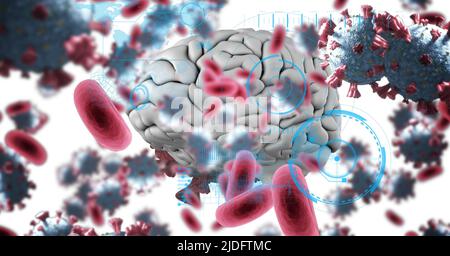 Scope-Scanning über mehrere Covid-19-Zellen und Human Brain Icon vor rotem Hintergrund Stockfoto