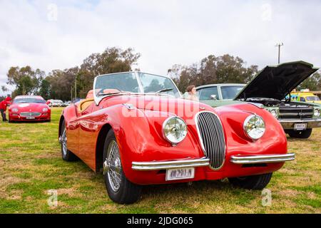 XK 120 Jaguar Stockfoto