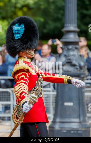 Senior Drum Major Gareth Chambers, Trooping the Colour Prohearsals, The Mall, London England, Großbritannien Stockfoto