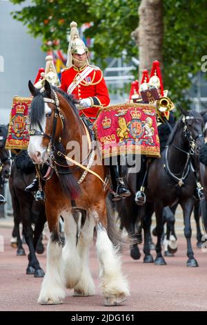 Harry, das Trommelpferd bei Trooping the Color Probesals, The Mall, London England, Großbritannien Samstag, 21. Mai, 2022. Stockfoto