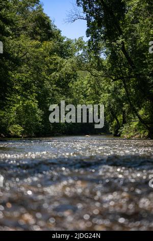 Wunderschöner Fluss, Der Durch Den Üppigen Delaware Forest Fließt Stockfoto
