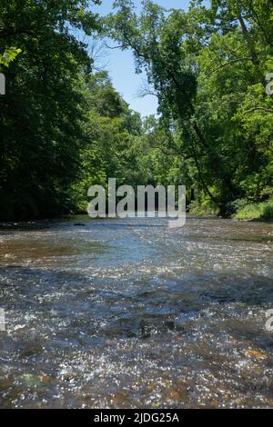Wunderschöner Fluss, Der Durch Den Üppigen Delaware Forest Fließt Stockfoto