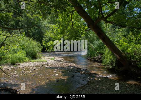 Wunderschöner Fluss, Der Durch Den Üppigen Delaware Forest Fließt Stockfoto