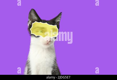 Niedliche Katze mit menschlichen Augen auf violettem Hintergrund Stockfoto