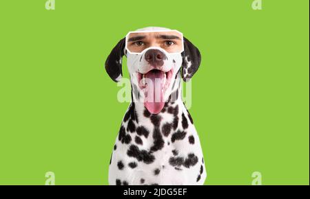 Niedlichen dalmatinischen Hund mit menschlichen Augen auf grünem Hintergrund Stockfoto