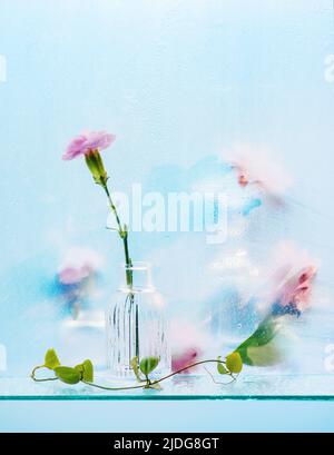 Rosa Blumen in transparenten Vasen hinter mattem Glas, Aquarell-Effekt, verschwommenes Stillleben Stockfoto