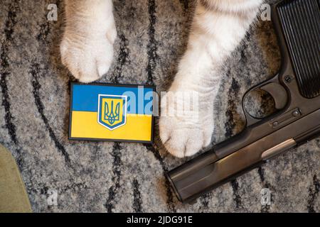 Das Fleck der Flagge der Ukraine liegt auf dem Boden neben einem Gewehr und den Pfoten einer Hauskatze, Militärwaffen, Krieg in jedem Haus in der Ukraine Stockfoto