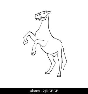 Zwei Beine Pferd Illustration Vektor Hand gezeichnet isoliert auf weißem Hintergrund Linie Kunst Stock Vektor