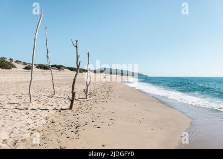 Vier Holzpfähle stecken direkt im Sand am Naturstrand und den Dünen bei Piscinas an der Costa Verde, Sardinien, Italien Stockfoto