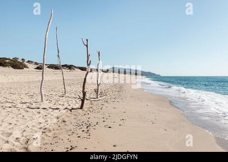 Vier Holzpfähle stecken direkt im Sand am Naturstrand und den Dünen bei Piscinas an der Costa Verde, Sardinien, Italien Stockfoto