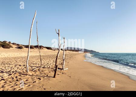 Vier Holzpfähle stecken direkt im Sand am Naturstrand und den Dünen bei Piscinas an der Costa Verde, Sardinien, Italien Stockfoto