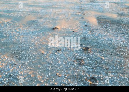 Fußabdrücke am sandigen, mauligen Strand bei Sonnenuntergang. Southerness, Dumfries und Galloway, Schottland Stockfoto