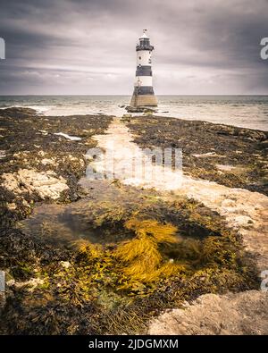 Black Point, Penmon, Ynys Seiriol, Anglesey, Nordwales, VEREINIGTES KÖNIGREICH. Der Leuchtturm Trwyn Du in Penmon Point wurde 1838 vom Trinity House zur Markierung des Nordens erbaut Stockfoto