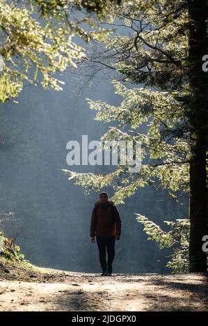 Ein Mann geht im Nebel entlang der Waldwege, die Sonnenstrahlen brechen durch die Bäume und den Nebel, Rucksack auf dem Rücken eines Mannes. Stockfoto