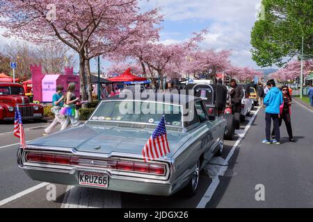 Ein Ford Thunderbird aus dem Jahr 1966 mit amerikanischen Flaggen, die bei einem Oldtimer-Festival von hinten fliegen. Tauranga, Neuseeland Stockfoto