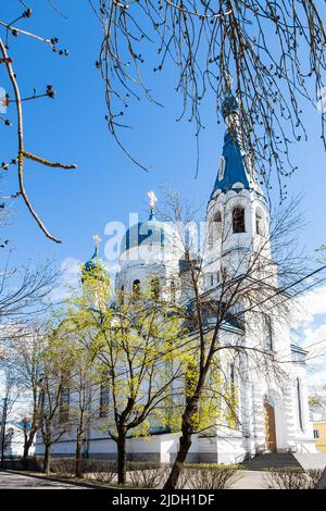 Bäume und Fürbitte Kathedrale in Gatchina Stadt im Hintergrund, Russland am sonnigen Frühlingstag Stockfoto