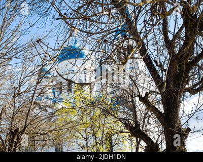 Zweige der Bäume und Fürbitte Kathedrale in Gatchina Stadt im Hintergrund, Russland am sonnigen Frühlingstag Stockfoto