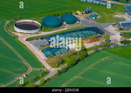 Der Tierzuchtbetrieb nutzt die Gülle in einer eigenen Biogasanlage, Luftaufnahme 05/06/2022, Deutschland, Schleswig-Holstein Stockfoto