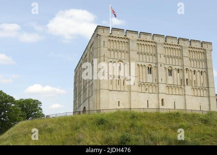 Norwich Castle Museum And Art Gallery, Großbritannien, England, Norfolk Stockfoto