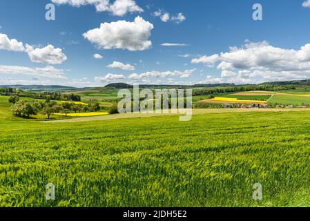 Grüne, hügelige Landschaft und Felder mit blauem bewölktem Himmel in Hegau in Süddeutschland, Stockfoto