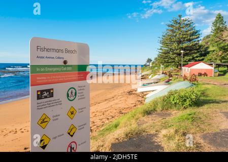 Hochgedrehte Metallfischerboote (Tinnies) fuhren am Fisherman's Beach in der Nähe des Long Reef, Sydney, Australien, an die Küste Stockfoto