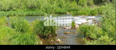 Stromschnellen auf dem kleinen Fluss Suenga, Region Nowosibirsk Stockfoto