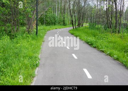 Asphaltierter Radweg mit zentralen Markierungen und Richtungspfeilen in einem öffentlichen Park. Sommertag. Stockfoto