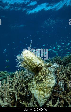 Kunststoffpolution im Indischen Ozean der Mayotte-Lagune Stockfoto