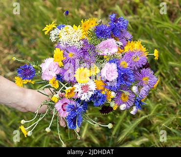 Bouquet von gemischten Wildblumen in der Hand einer jungen Frau. Schöne florale Hintergrund. Draufsicht auf einen Strauß wilder Blumen. Speicherplatz kopieren. Stockfoto