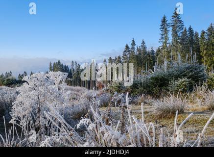 Der Winter kommt. Letzte Herbsttage, Morgen in der Berglandschaft friedliche malerische heimatte Szene. Ukraine, Karpaten. Stockfoto