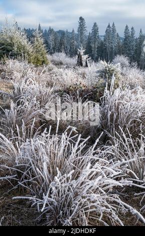 Der Winter kommt. Letzte Herbsttage, Morgen in der Berglandschaft friedliche malerische heimatte Szene. Ukraine, Karpaten. Stockfoto