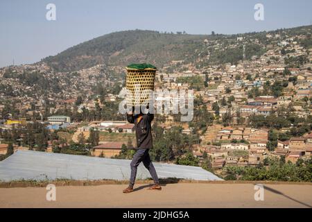 Ruanda, die Republik Ruanda, Binnenland im Großen Grabental Zentralafrikas. Stockfoto