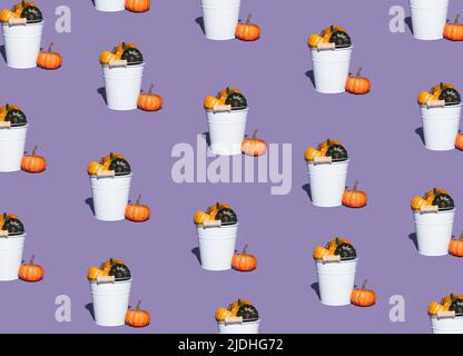 Muster aus weißen Eimern, gefüllt mit bunten Herbstkürbissen auf violettem Hintergrund. Minimales saisonales Konzept. Halloween oder Thanksgiving compositi Stockfoto