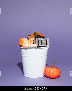 Weißer Eimer gefüllt mit bunten Herbstkürbissen auf violettem Hintergrund. Minimales saisonales Konzept. Halloween oder Thanksgiving Komposition. Stockfoto