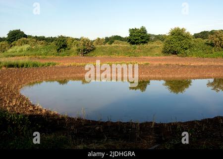 Das Stratford Riverside Nature Reserve wird derzeit in Entwicklung gebracht, Stratford-upon-Avon, Warwickshire, Großbritannien Stockfoto