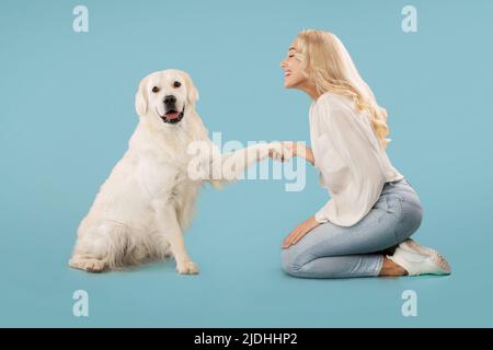 Mensch-Tier-Verbindungskonzept. Labrador gibt seiner Besitzerin, die auf blauem Hintergrund auf dem Boden sitzt, Pfote Stockfoto