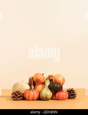 Kreatives Herbst-Halloween-Layout mit verschiedenen Kürbissen, Kürbissen und Tannenzapfen auf beigem Hintergrund. Minimales saisonales Kreativkonzept mit Kopierplatz. Stockfoto