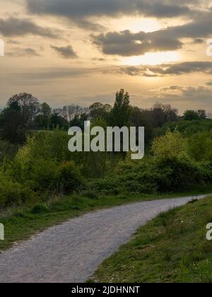 Ein Pfad durch Wälder und die komplizierten Details von Pflanzen, Ästen und Zweigen, auf dem Weg zu einem lebendigen Sonnenuntergang, Sonne hinter Wolken Himmel. Stockfoto