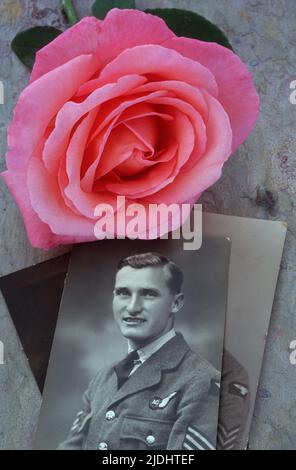 Vintage Schwarz-Weiß-Foto von Mann in der Luftwaffenuniform des Weltkriegs 2, die mit rosa Rose oder Rosa Lovely Lady liegt Stockfoto