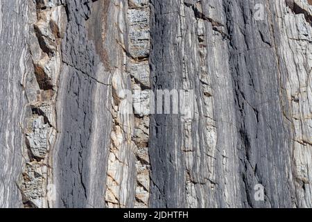 Detaillierte Ansicht der freigelegten und erodierten Klippe am Greencliff Beach Textur und Maserung in den Felsen: Greencliff, nahe Bideford, Devon, Großbritannien. Stockfoto