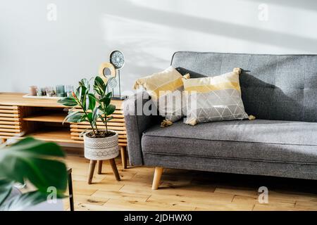 Stilvolles Wohnzimmer mit Designer-Konsole mit Dekor und grauem Sofa mit grafischen Kissen. Weiße Wände, grüne Pflanzen in den Töpfen. Helles Holz Stockfoto