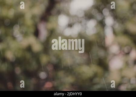 Grüner natürlicher Bokeh-Hintergrund Stockfoto