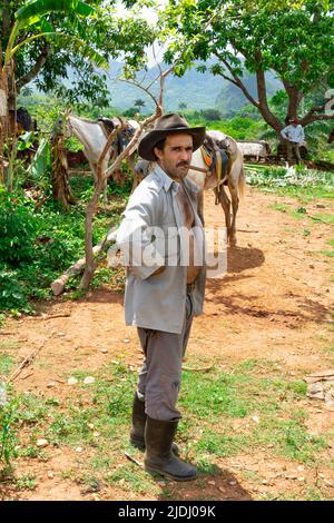 Ein kubanischer Zigarrenraucher Tabakbauer mit seinem Pferd im Viñales-Tal in Kuba Stockfoto