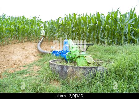 Bewässerungsterminal des Asai du Gouyre. Besuch auf dem Bauernhof von Frédéric Pagès, Landwirt in Puygaillard-de-Quercy und Präsident des Vereins Syndicale Autorisée d'Irrigation Gouyre / Gagnol / Tordre. Er stellt die Investitionen vor, die er getätigt hat, um Bewässerungswasser mit Unterstützung des Wiederauffüllungsplans zu sparen. Dienstag, 21. Juni 2022. Frankreich, Tarn-et-Garonne. Foto von Patricia Huchot-Boissier/ABACAPRESS.COM Stockfoto