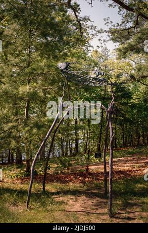 Akadische Gyro-Bronzeskulptur von Hector H. MacDonald im deCordova Sculpture Park und Museum. Lincoln, Massachusetts, USA. Stockfoto