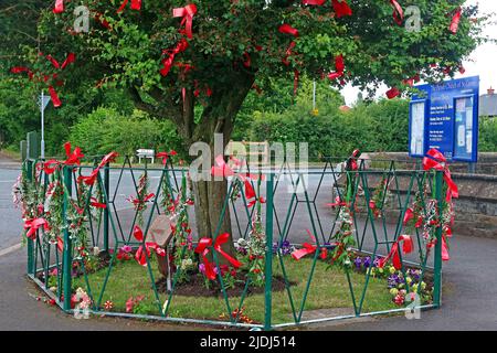 Appleton Thorn Bawming vom Dorn im Dorf, neben der Pfarrkirche St. Cross. Bänder, die an den Baum und den umliegenden Zaun gebunden sind, Warrington, WA4 4RT Stockfoto