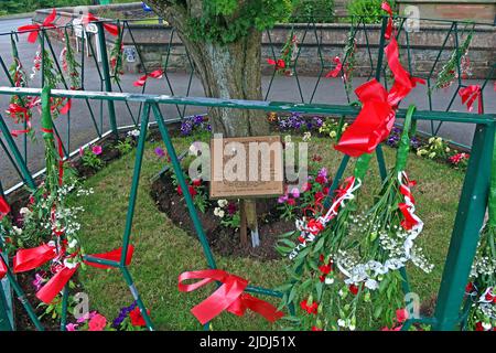 Appleton Thorn Bawming vom Dorn im Dorf, neben der Pfarrkirche St. Cross. Bänder, die an den Baum und den umliegenden Zaun gebunden sind, Warrington, WA4 4RT Stockfoto