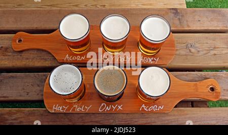 Britisches echtes Ale in Thirds - Bierpaddeln mit einem vollen Pint Bier, jeweils zu einem Drittel serviert, mit Namen Appleton Thorn Village Hall, Warrington, Großbritannien Stockfoto