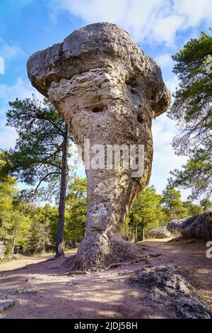 Vertikale Felsformation der verzauberten Stadt, Naturpark Cuenca, Spanien. Stockfoto